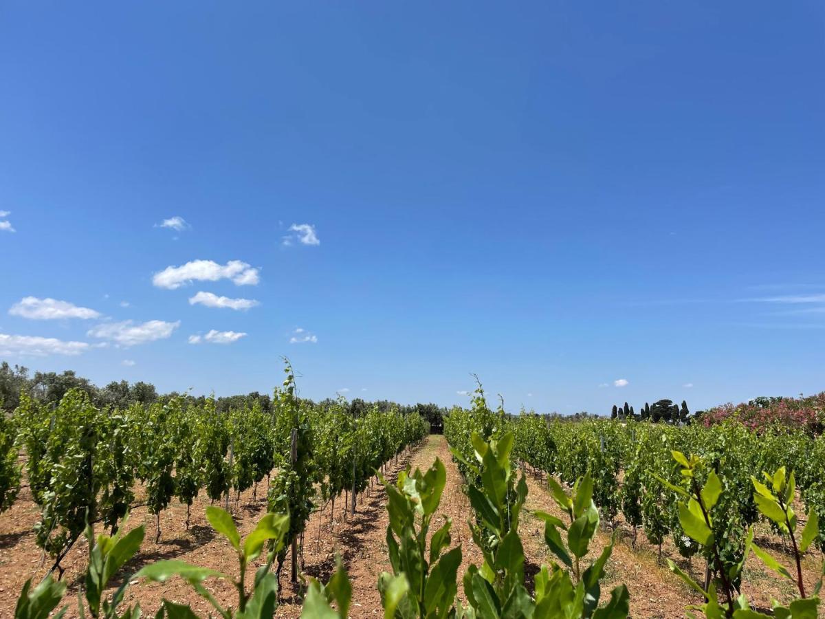 Agriturismo Terra Rossa Otranto Luaran gambar