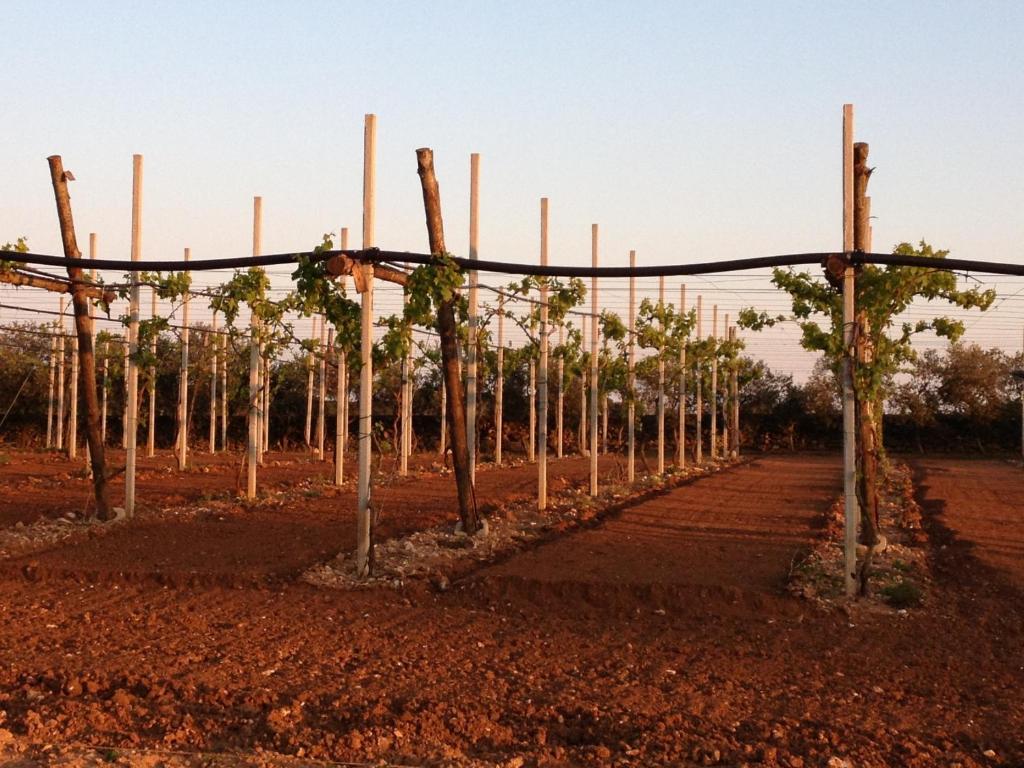 Agriturismo Terra Rossa Otranto Luaran gambar