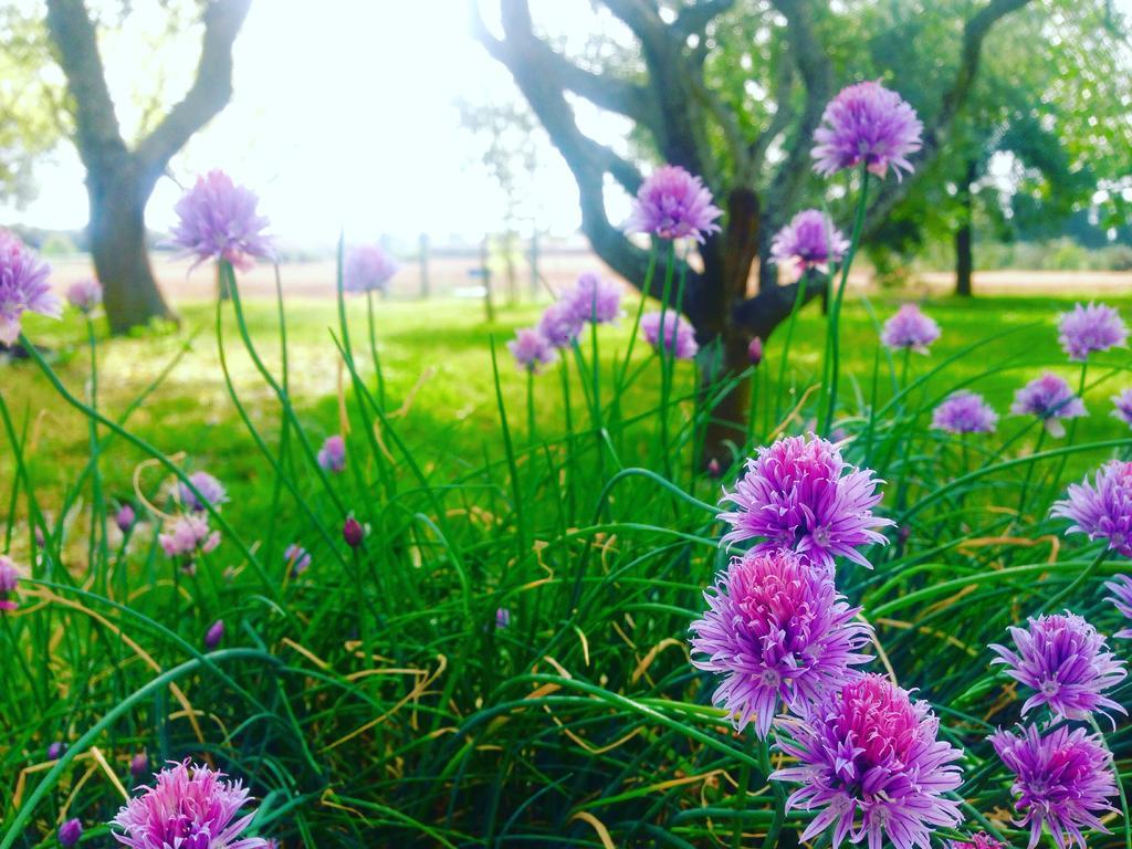Agriturismo Terra Rossa Otranto Luaran gambar