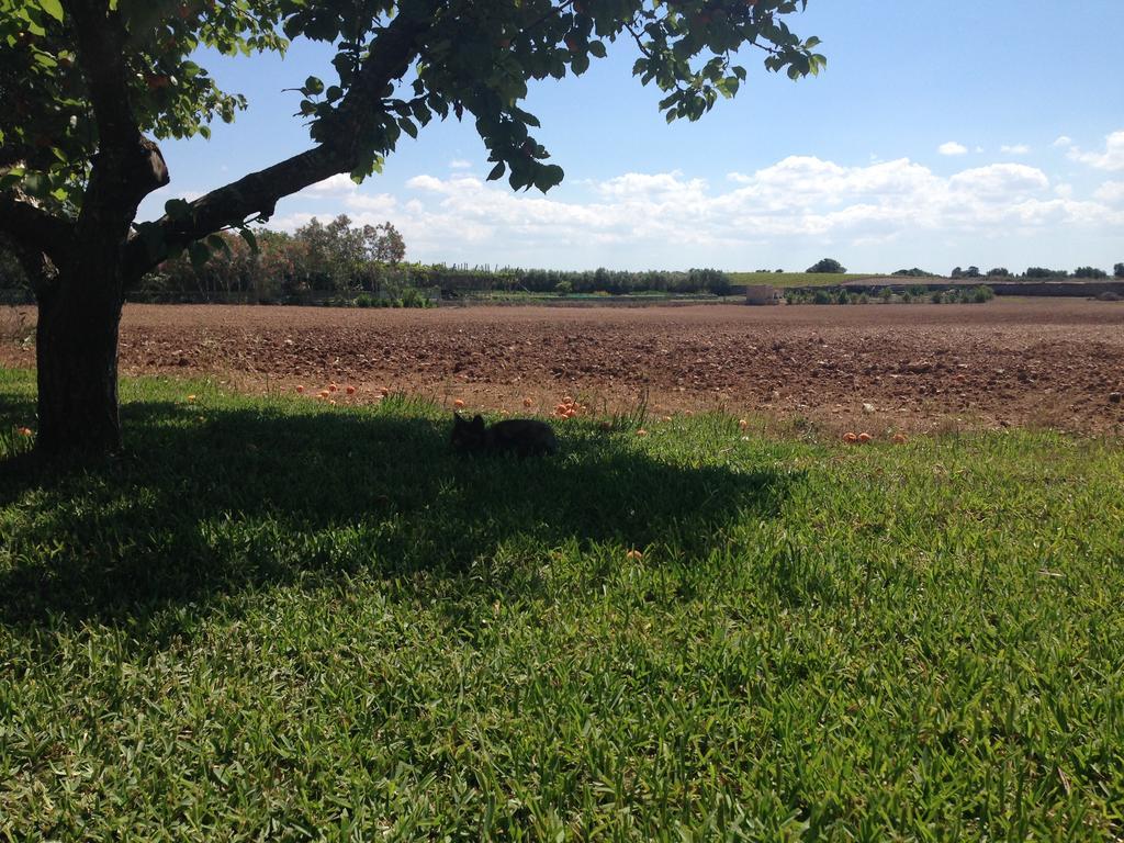 Agriturismo Terra Rossa Otranto Luaran gambar