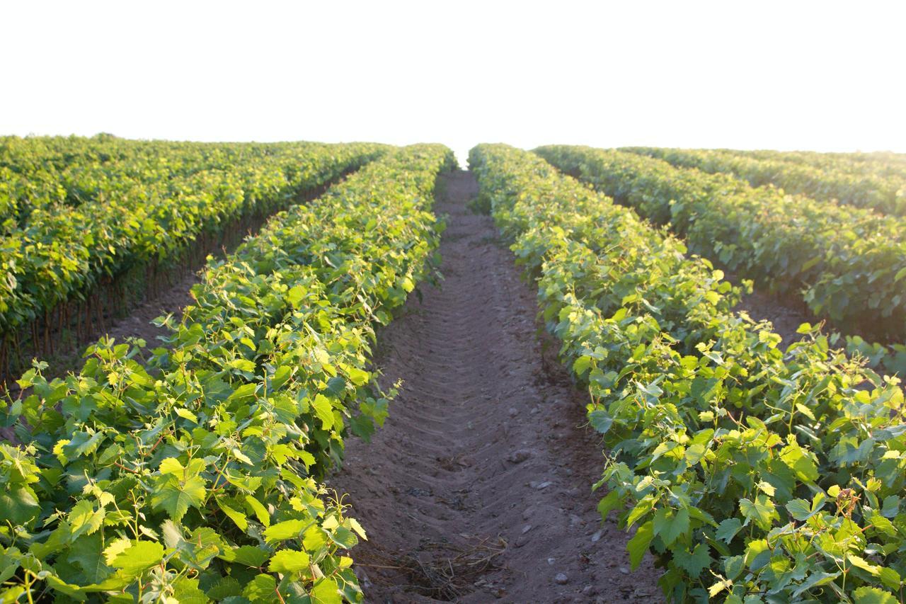 Agriturismo Terra Rossa Otranto Luaran gambar