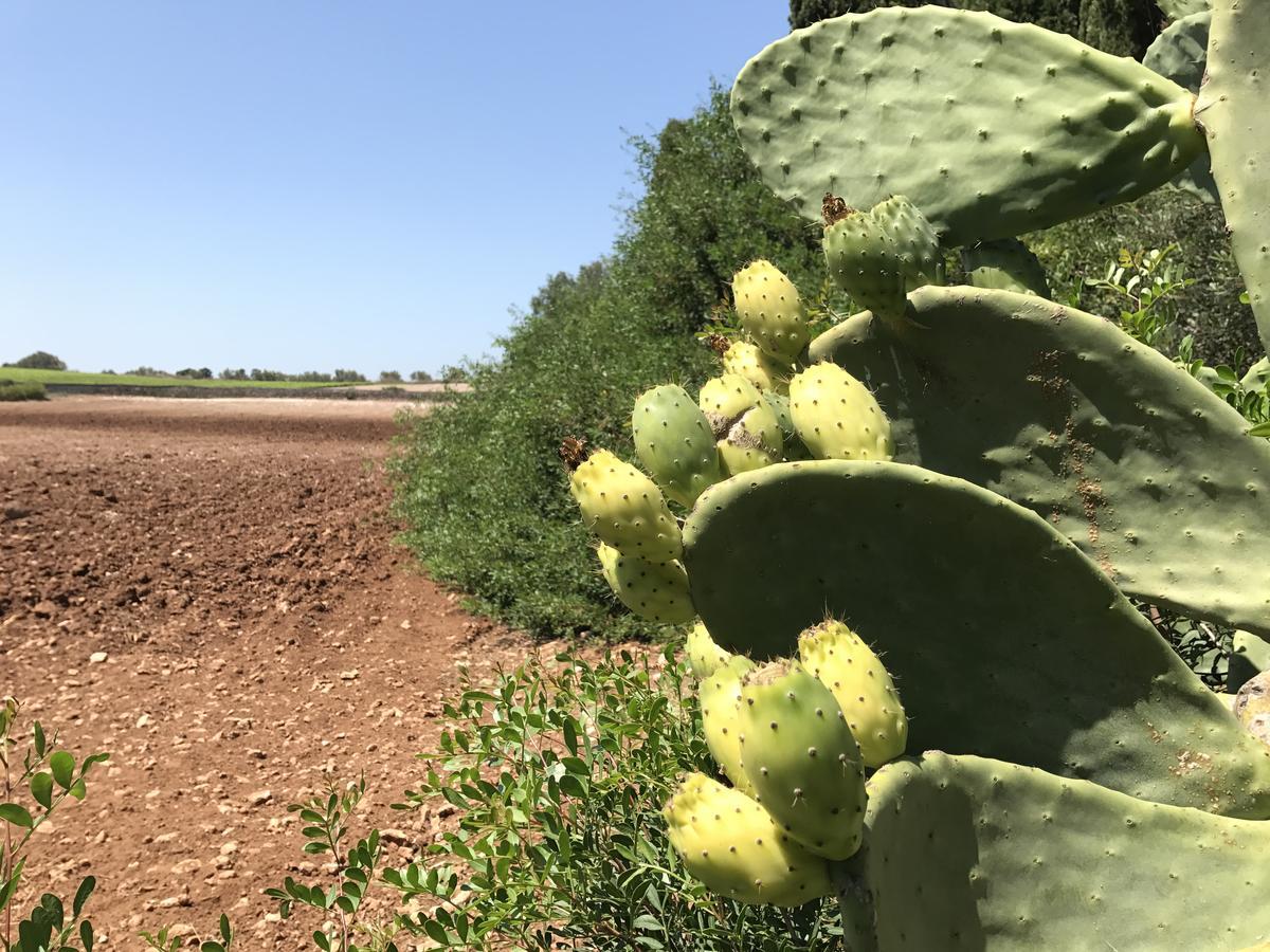 Agriturismo Terra Rossa Otranto Luaran gambar