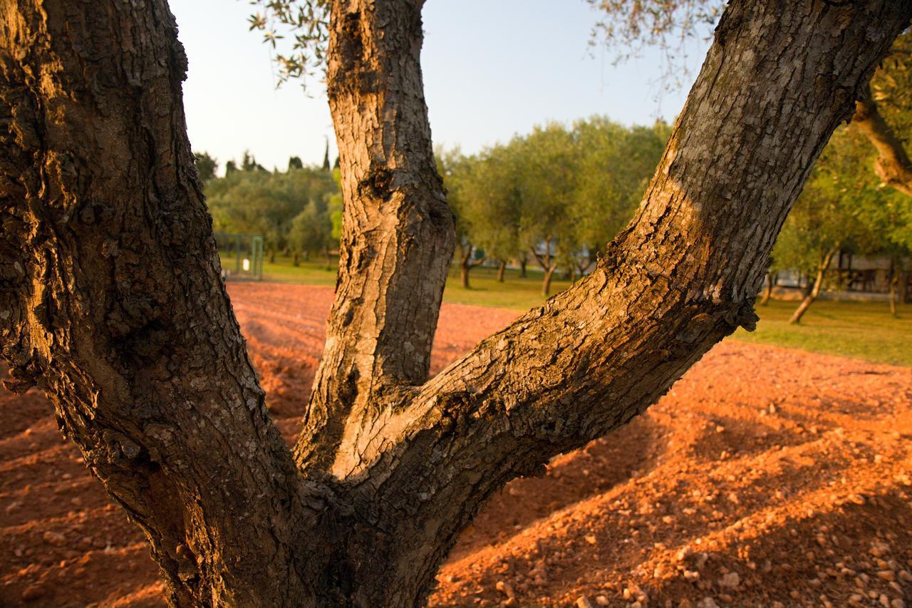 Agriturismo Terra Rossa Otranto Luaran gambar